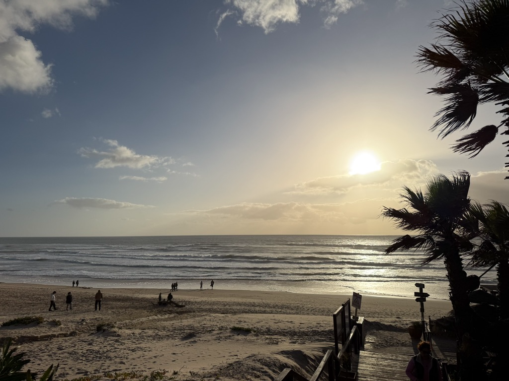Evening beach walk with palm silhouettes