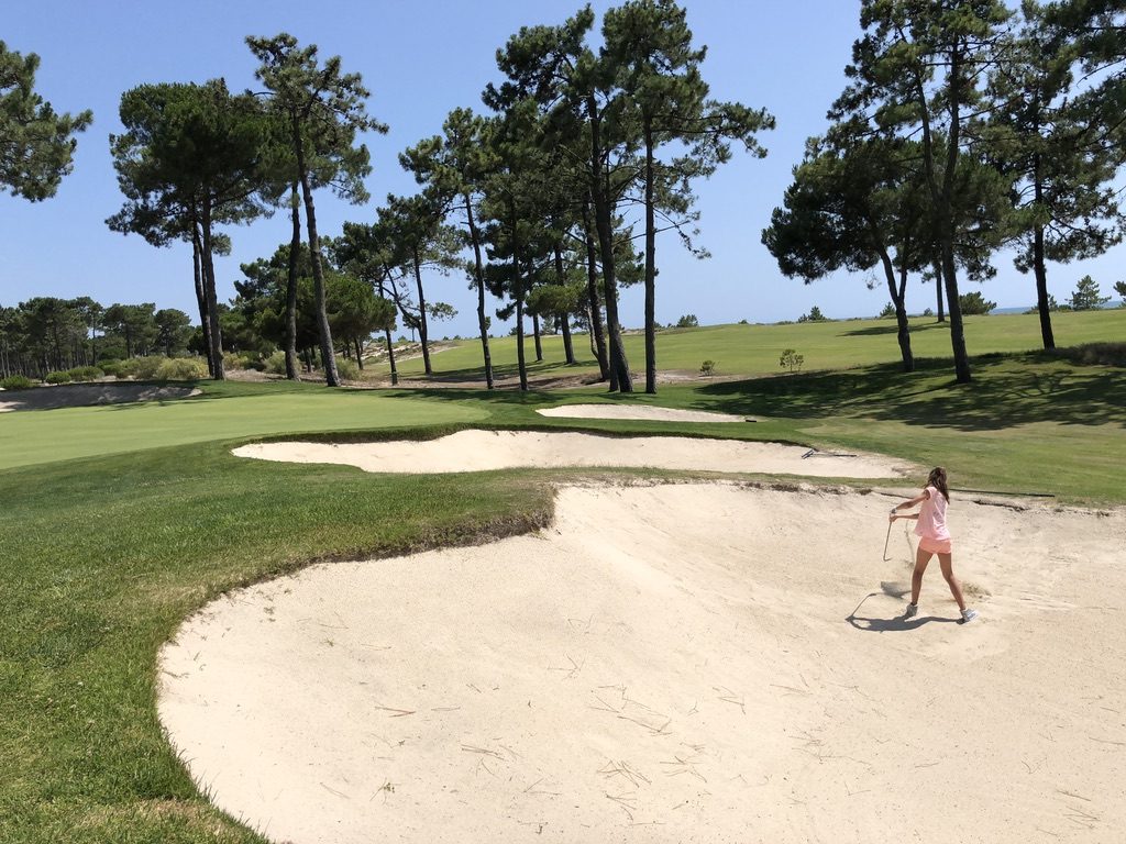 Golf bunker among pine trees