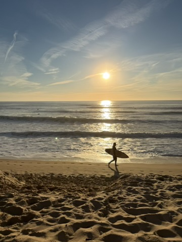 Surfer walking the beach at sunset